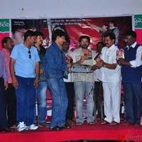 Telangana Godavari Movie Audio function - Pictures | Picture 95288
